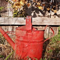 watering-can-1466632_640